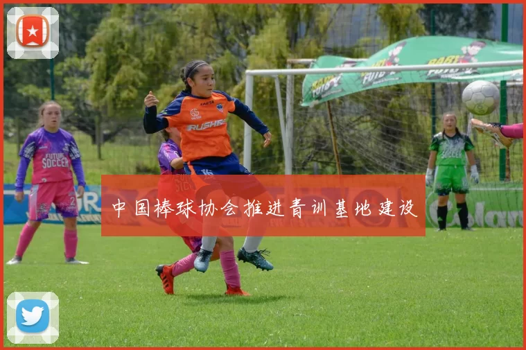 中国棒球协会推进青训基地建设