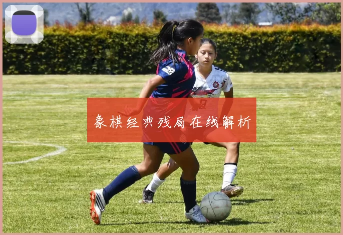 象棋经典残局在线解析