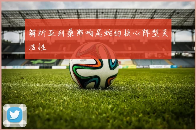 解析亚利桑那响尾蛇的核心阵型灵活性