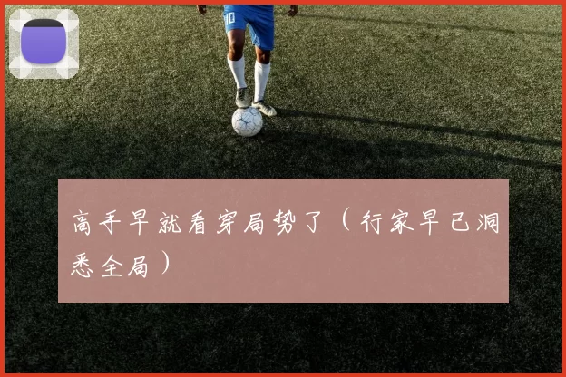 高手早就看穿局势了（行家早已洞悉全局）