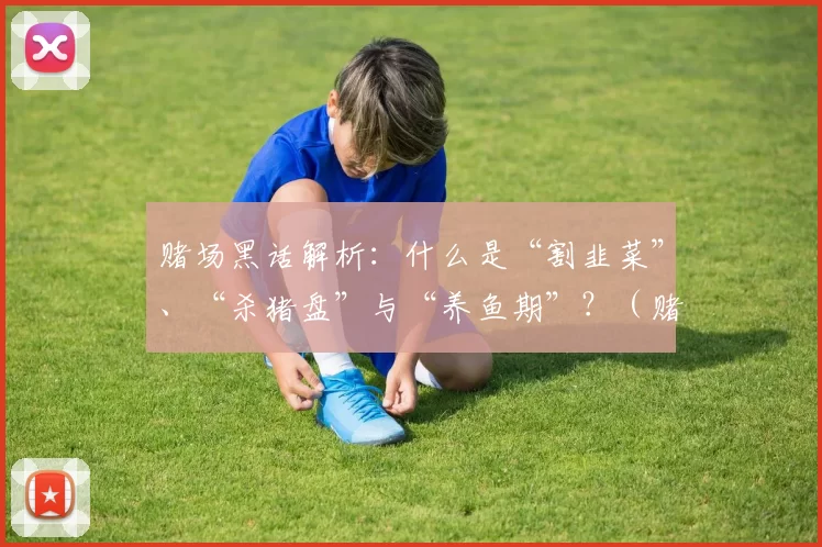赌场黑话解析：什么是“割韭菜”、“杀猪盘”与“养鱼期”？（赌场行话解读：“割韭菜”“杀猪盘”“养鱼期”到底指什么？）