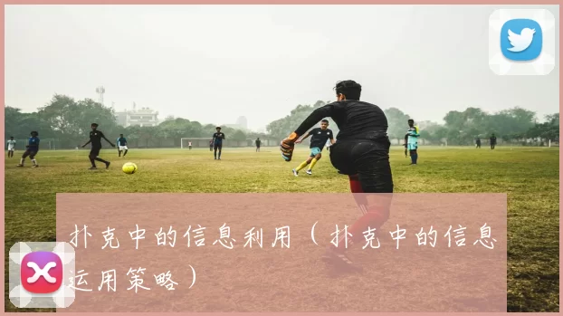 扑克中的信息利用（扑克中的信息运用策略）