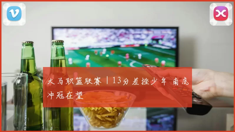 大马职篮联赛｜13分差挫少年 南虎冲冠在望