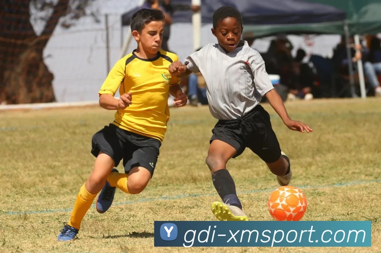 熊猫体育发展历程